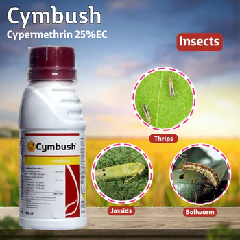 Cymbush-04
