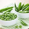 Green Snap"High Yield Green Peas Seeds – Organic, Non-GMO, Fast Germination, Winter Vegetable for Home Garden, Balcony, Terrace & Kitchen Gardening- 40 Seeds