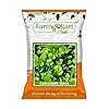 Farmgokart ~ 100 Grams - Planting seeds - Coriander Split | for Home Gardening, Open Farming and Poly House Farming