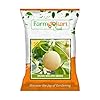 Farmgokart | 10 Grams - MUSK MELON SEEDS F1 HYBRID SEED | Perfect for Home Gardening, Open Farming and Poly House Farming (Appx Seed Count 400 Nos)