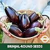 Farmgokart | 10 Grams - BRINJAL DARK PURPLE F1 HYBRID | for Open Farming and Poly House Farming |Appx Seed Count : 2000 Nos - Image 6