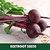 Farmgokart | 100 Grams BEET ROOT (Chukander) SEEDS | DARK RED Variety | for Open Farming and Poly House Farming - Image 4