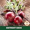 Farmgokart | 100 Grams BEET ROOT (Chukander) SEEDS | DARK RED Variety | for Open Farming and Poly House Farming - Image 5