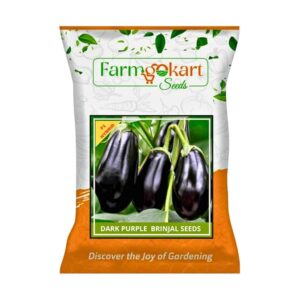 Farmgokart | 10 Grams - BRINJAL DARK PURPLE F1 HYBRID | for Open Farming and Poly House Farming |Appx Seed Count : 2000 Nos