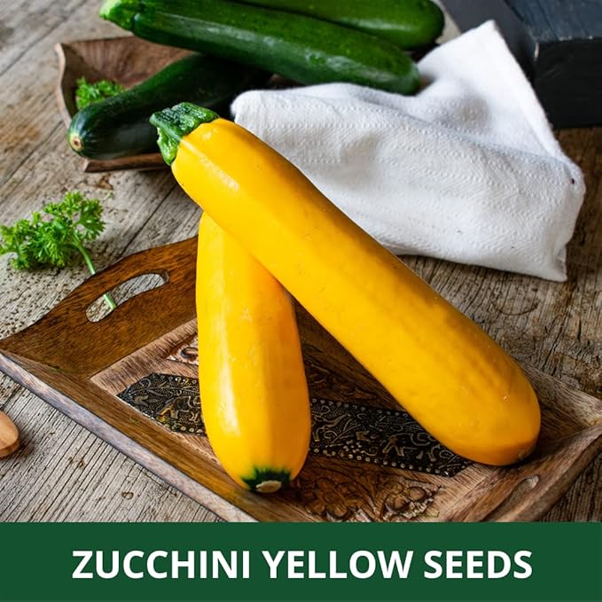 Farmgo ~ 10 Grams Zucchini Yellow Long F1 Hybrid (Variety Name : Yellow Beauty) Planting Seeds – ideal for both home gardening, Open farming, and Poly Houses (Appx Seeds Count 65-70 nos) - Image 3
